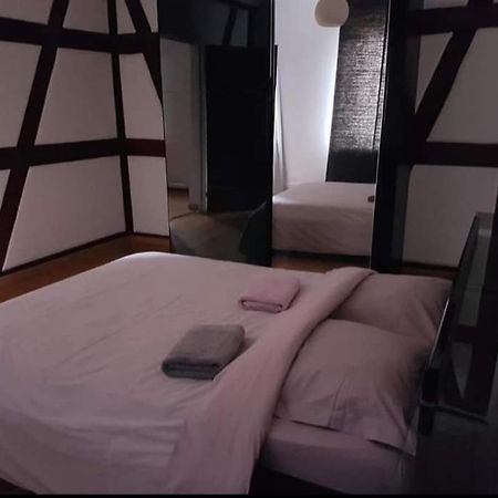 Spacious Appartement Colmar 2 Εξωτερικό φωτογραφία