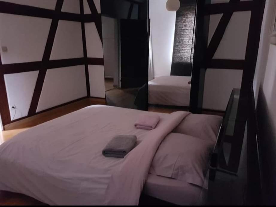Spacious Appartement Colmar 2 Εξωτερικό φωτογραφία